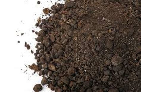 dirt search free.